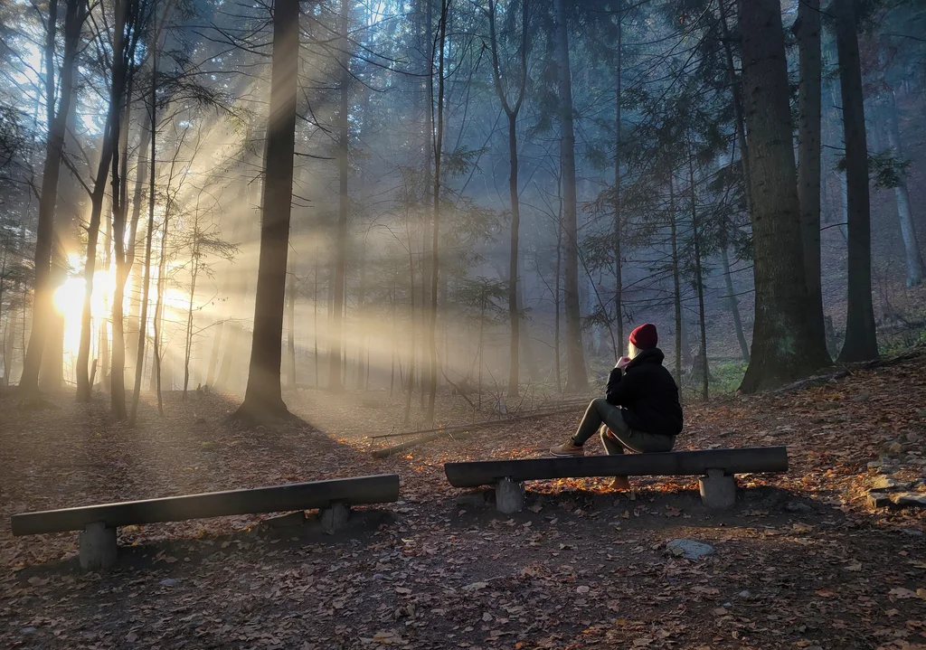 Pieniński Park Narodowy – najstarszy park narodowy w Polsce